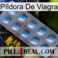 Píldora De Viagra viagra3